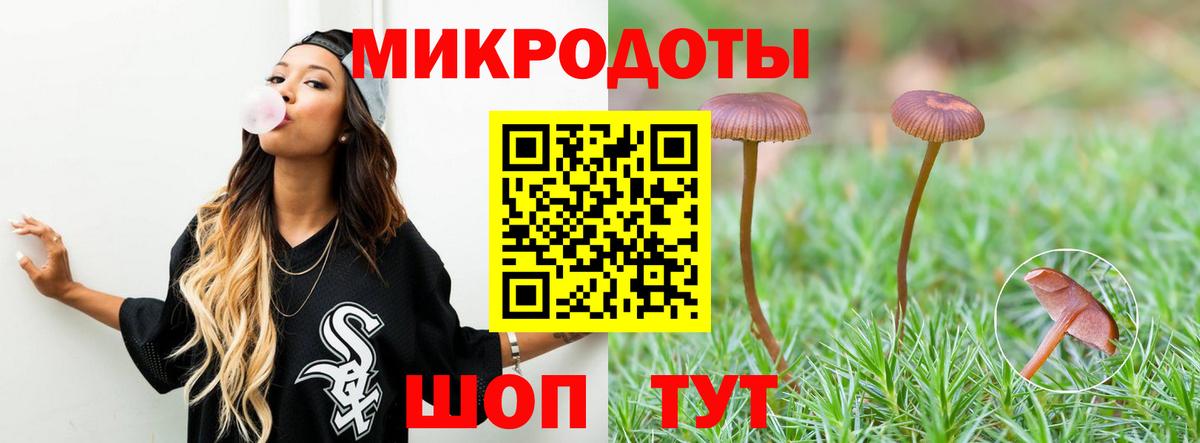 Галлюциногенные грибы мицелий  Вход с VPN  Галлюциногенные грибы Psilocybe  Губаха 